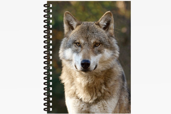 3D Notizbuch Wolf klein