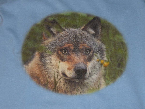 hellblaues Kinder T-Shirt Motiv Wolf
